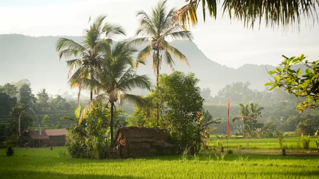 Bali Local Tour Guide